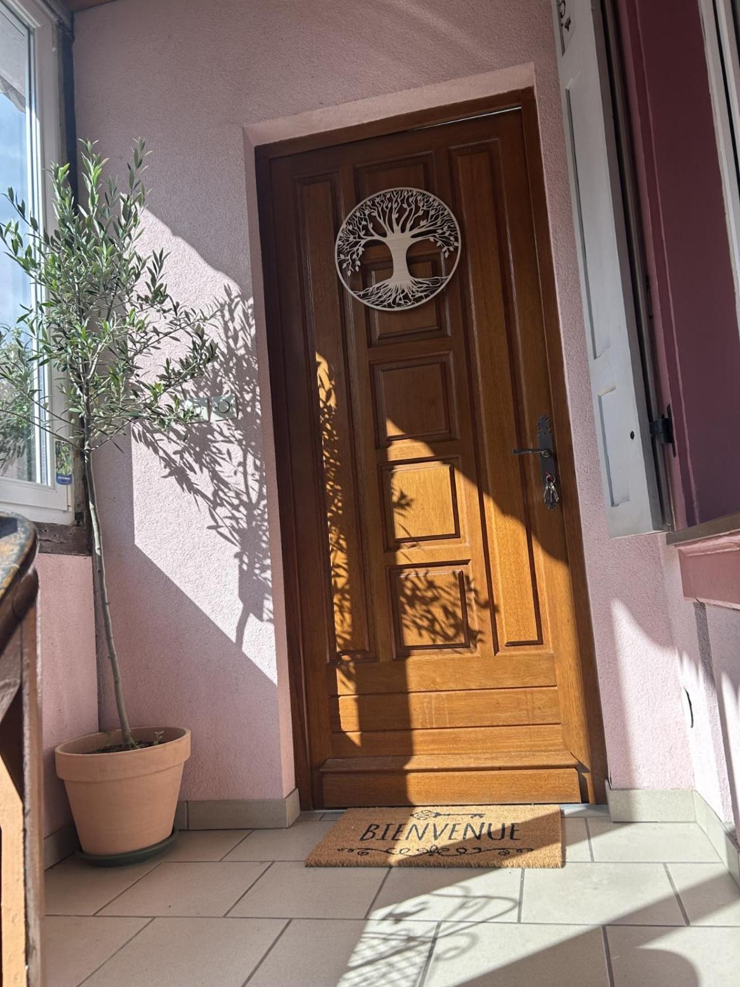 Le Petit Coin Des Oliviers Apartment Colmar Bagian luar foto